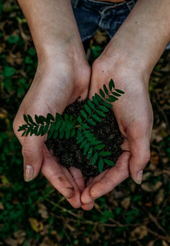 Notre engagement environnemental